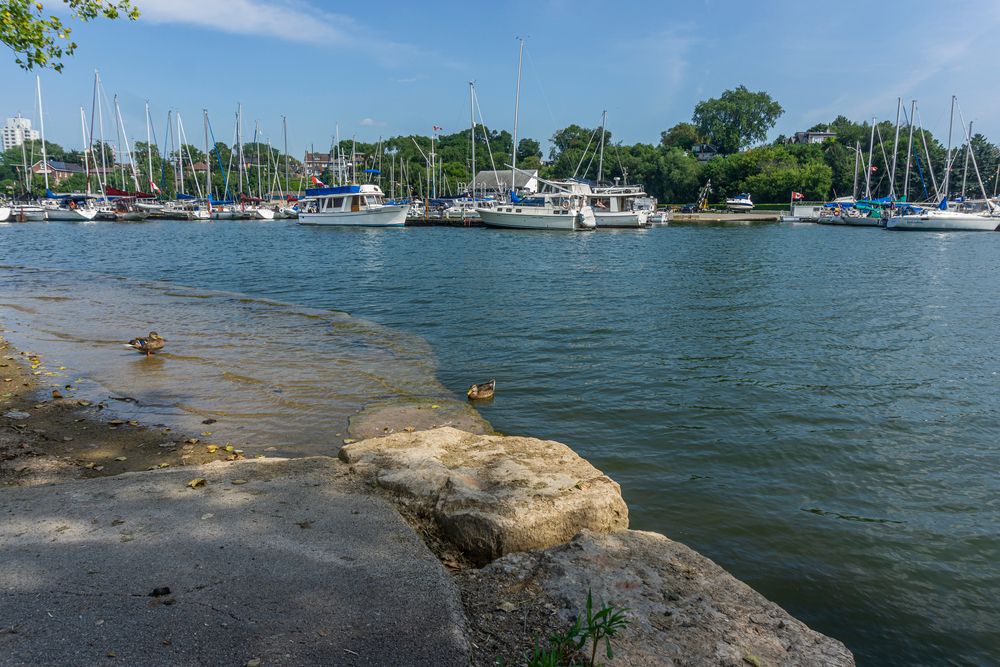 View of Bayfront Park
