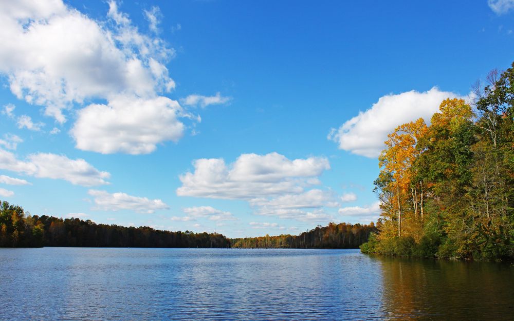 Scenic view of Beaverdam Reservoir