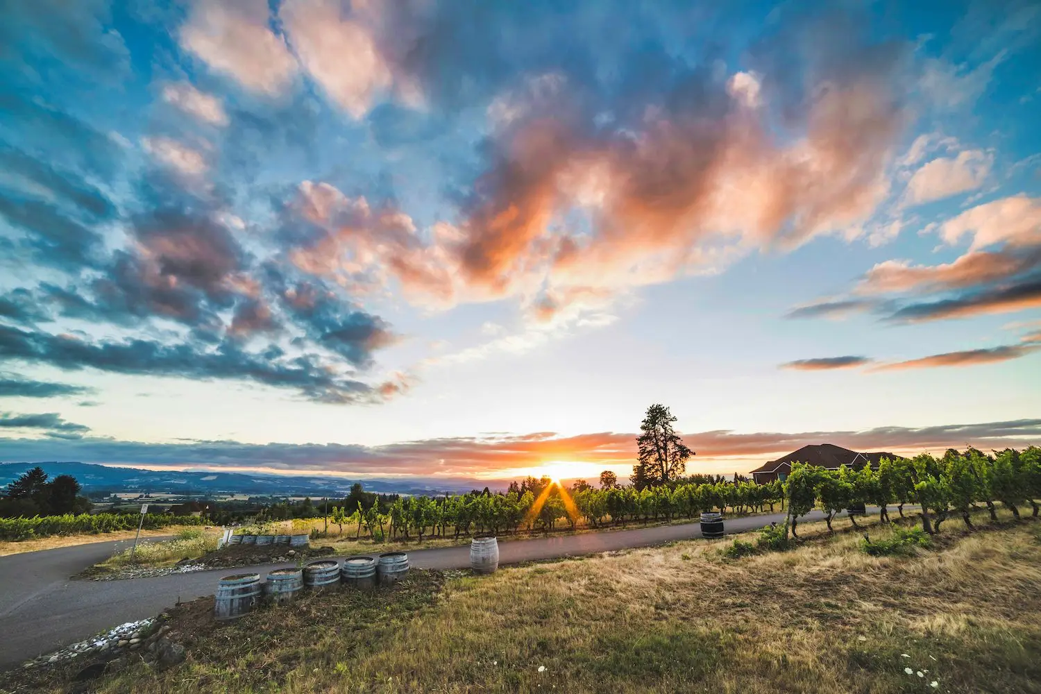 15 Best Things to Do in Beaverton, OR