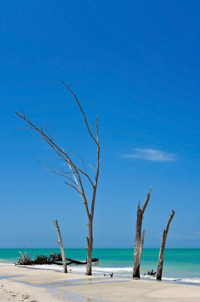 Daytime view of Beer Can Island