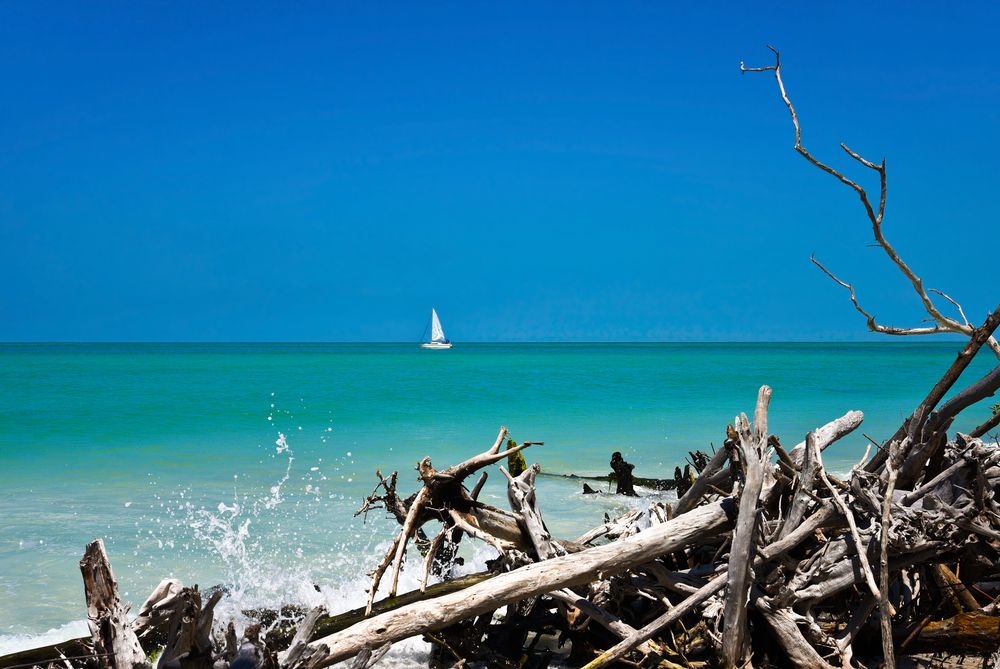 Sailboat in Beer Can Island