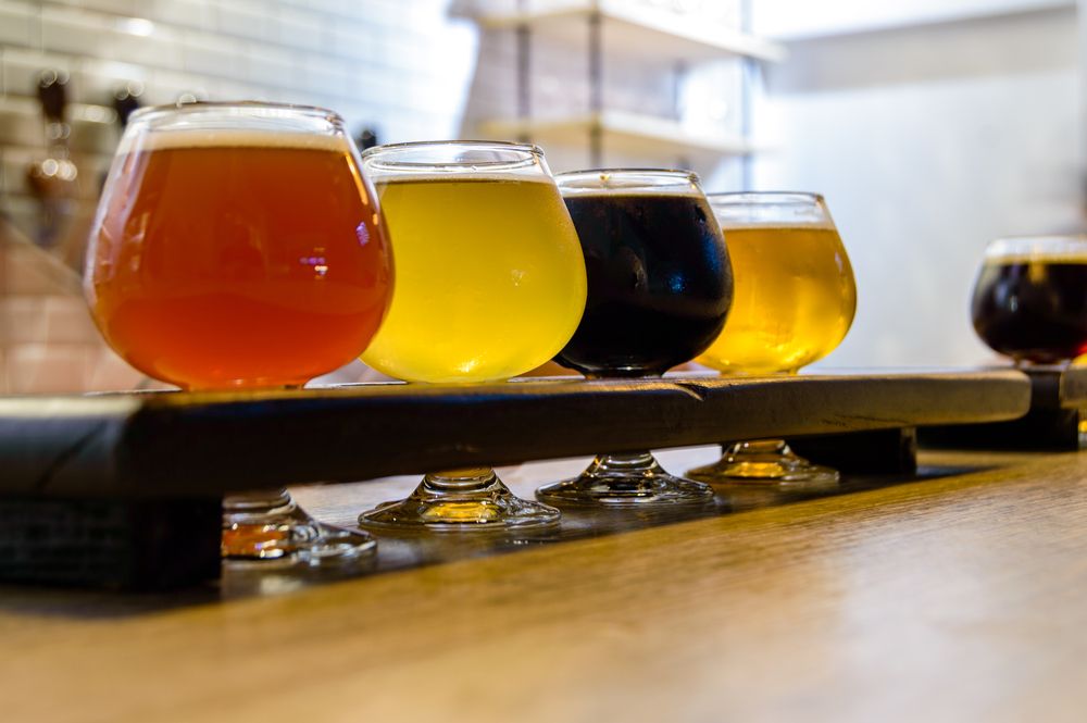 Beer tasting in Tijuana