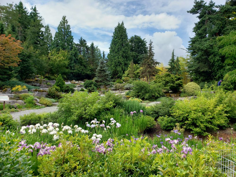 The beautiful plants and flowers of Bellevue Botanical Garden