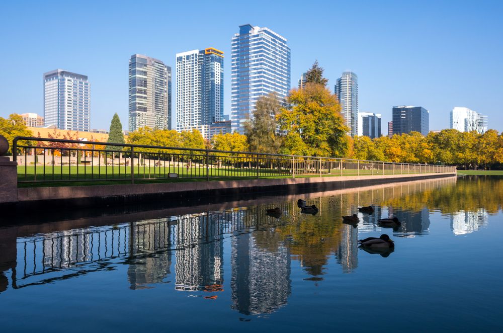 Ducks on the waters of Downtown Park