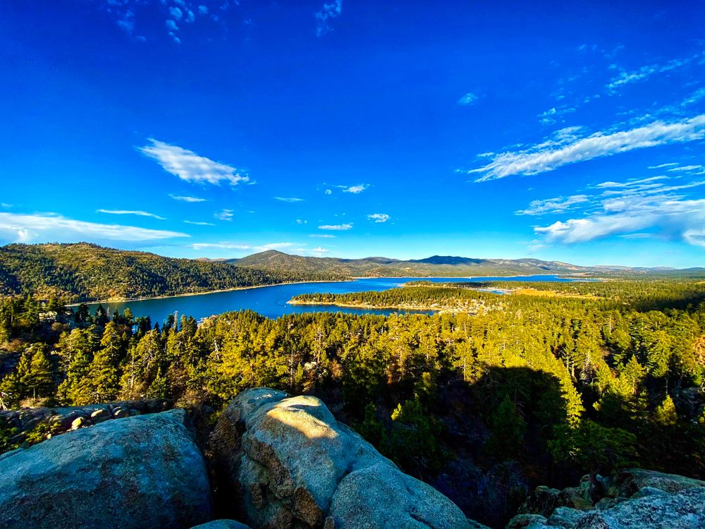 Trees surrounding the Big Bear Lake