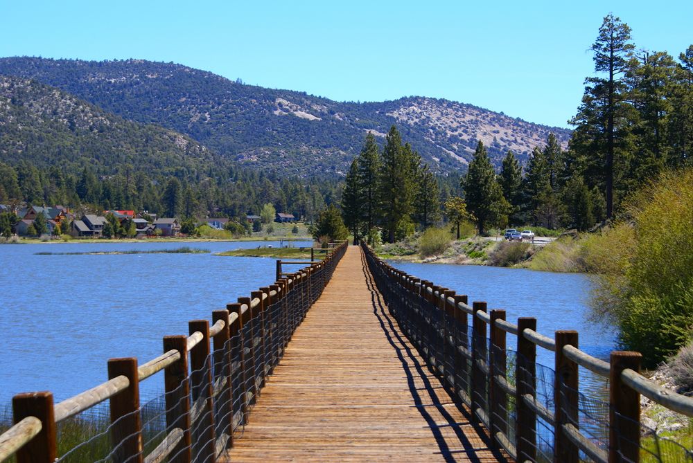 Trail at Big Bear Lake