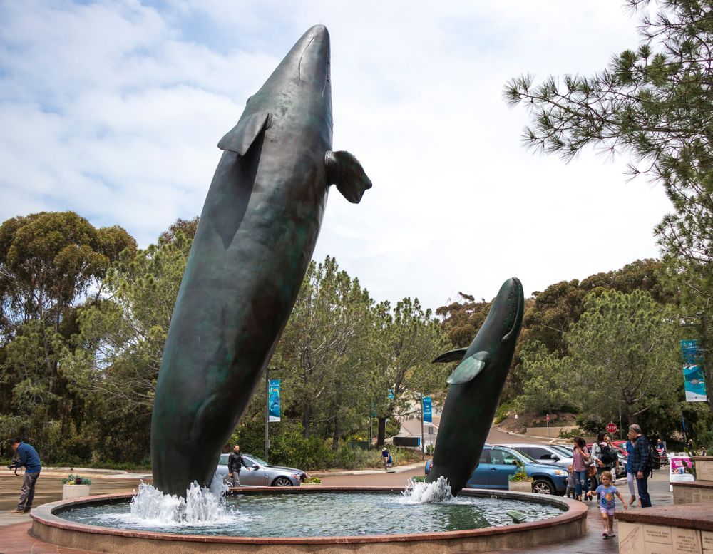 Huge whale sculptures kept at the entrance of Birch Aquarium