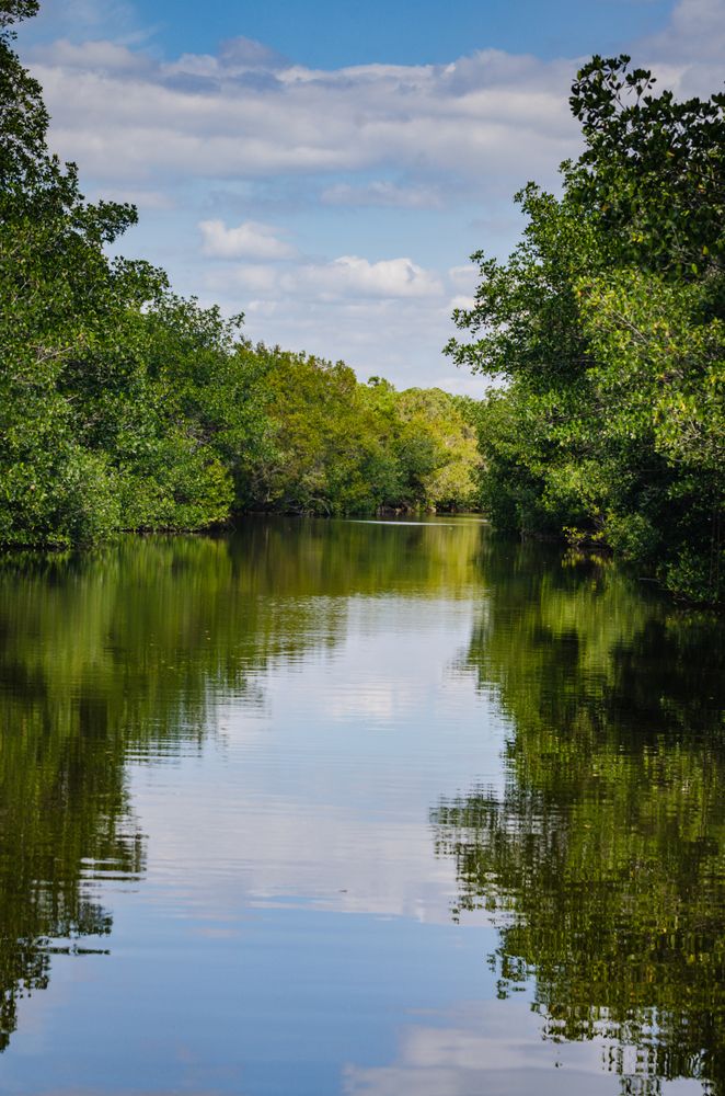 Lagoon at Biscayne National Park