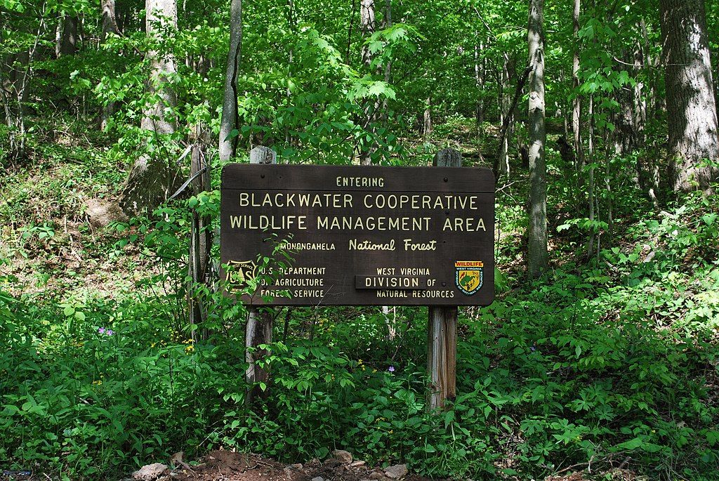 Sign board of Blackwater Creek Natural Area