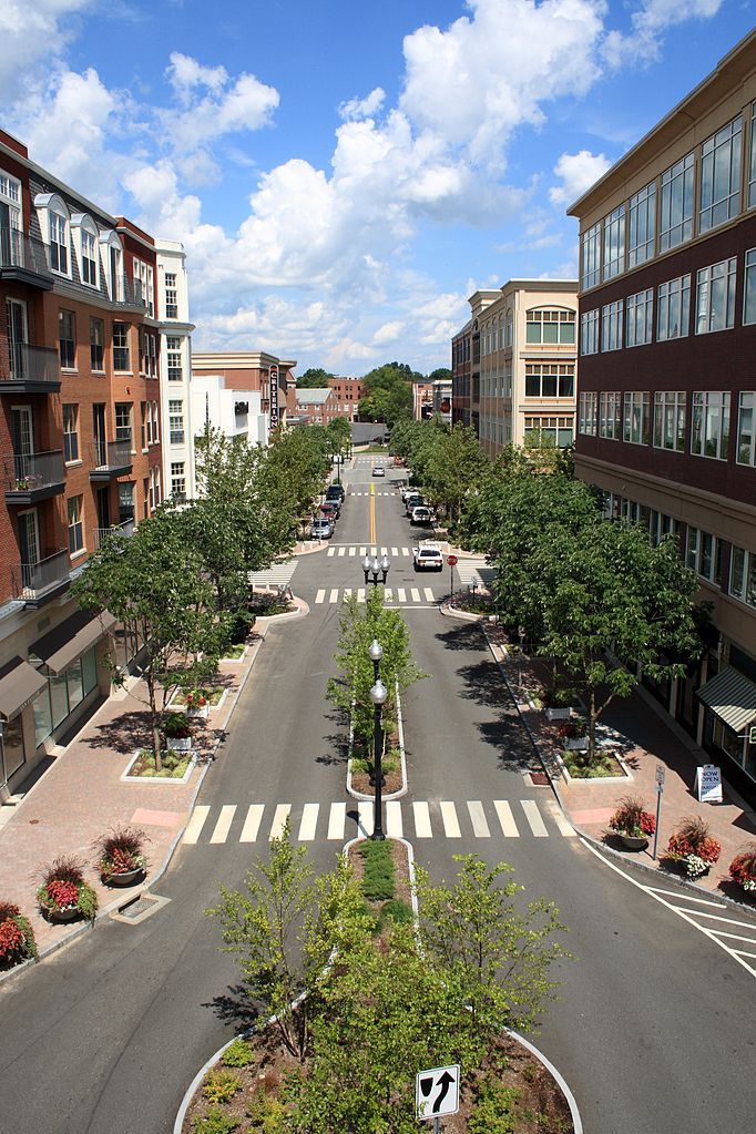 Top view of Blue Back Square