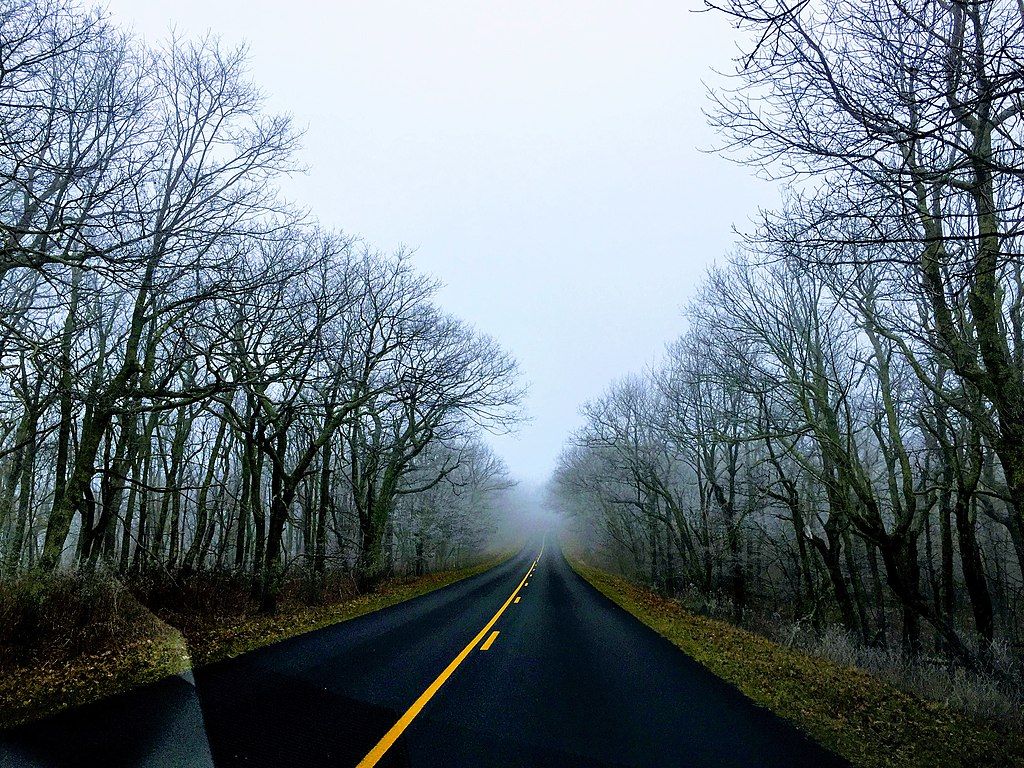 Scenic Blue Ridge Parkway with perfectly alligned trees