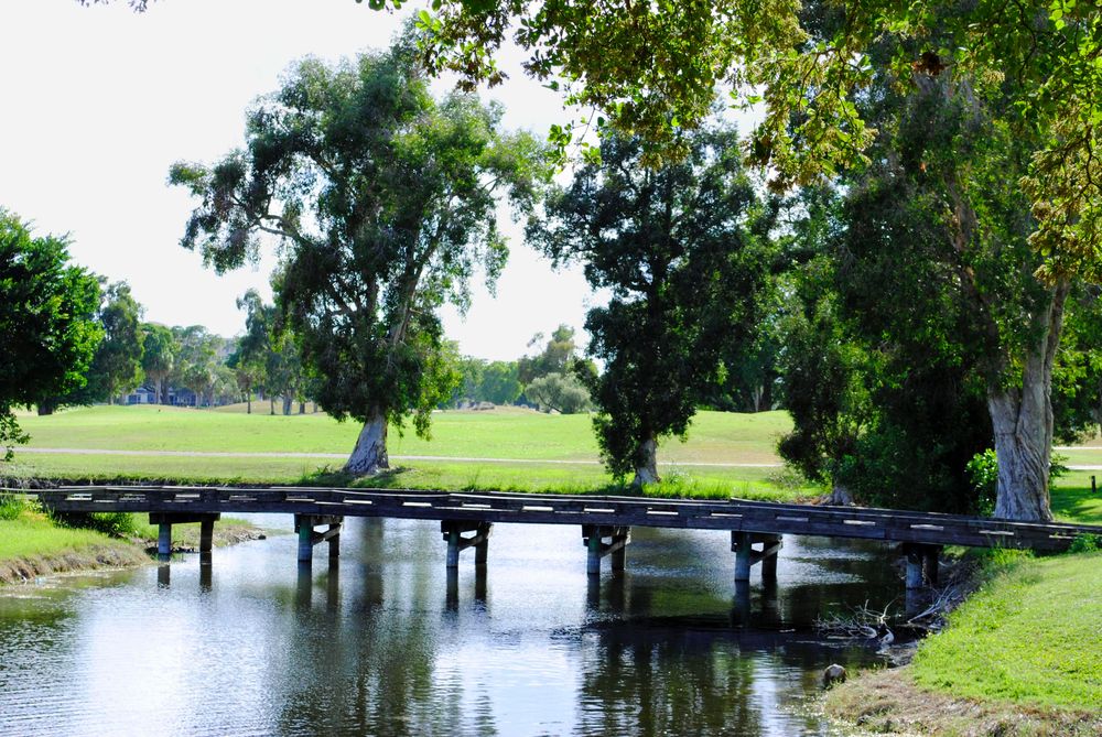 View of Bonaventure Golf Club