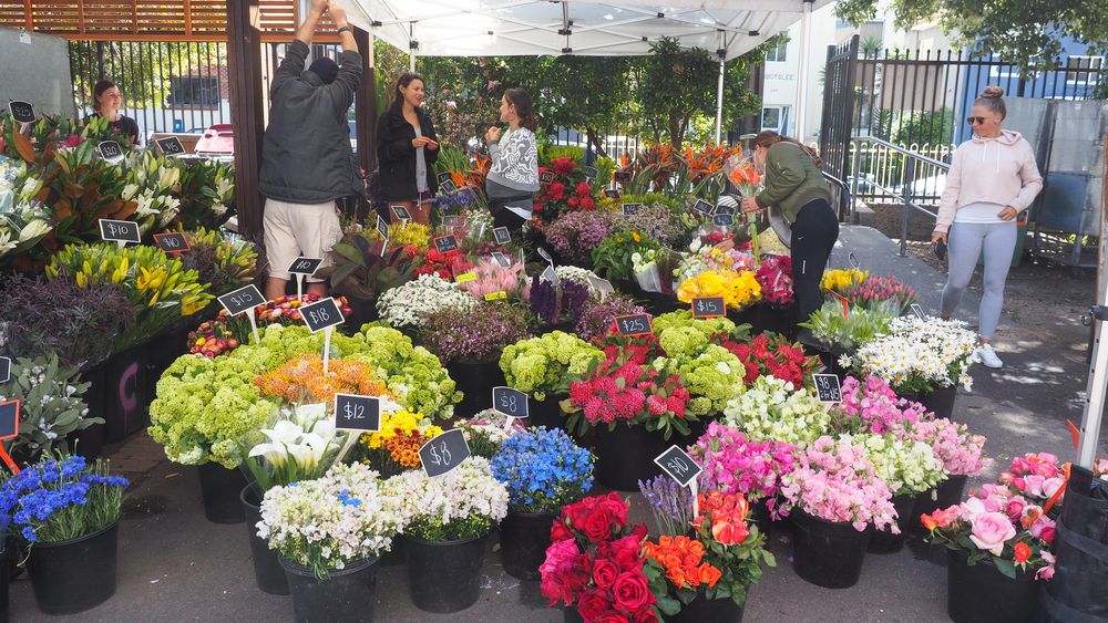 Colorful flowers at Bondi’s Weekend Markets