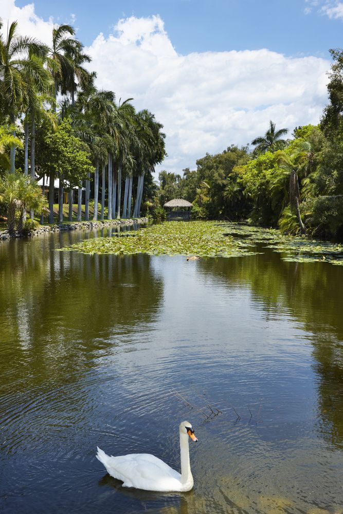 Inside Bonnet House Museum & Gardens in Weston, FL