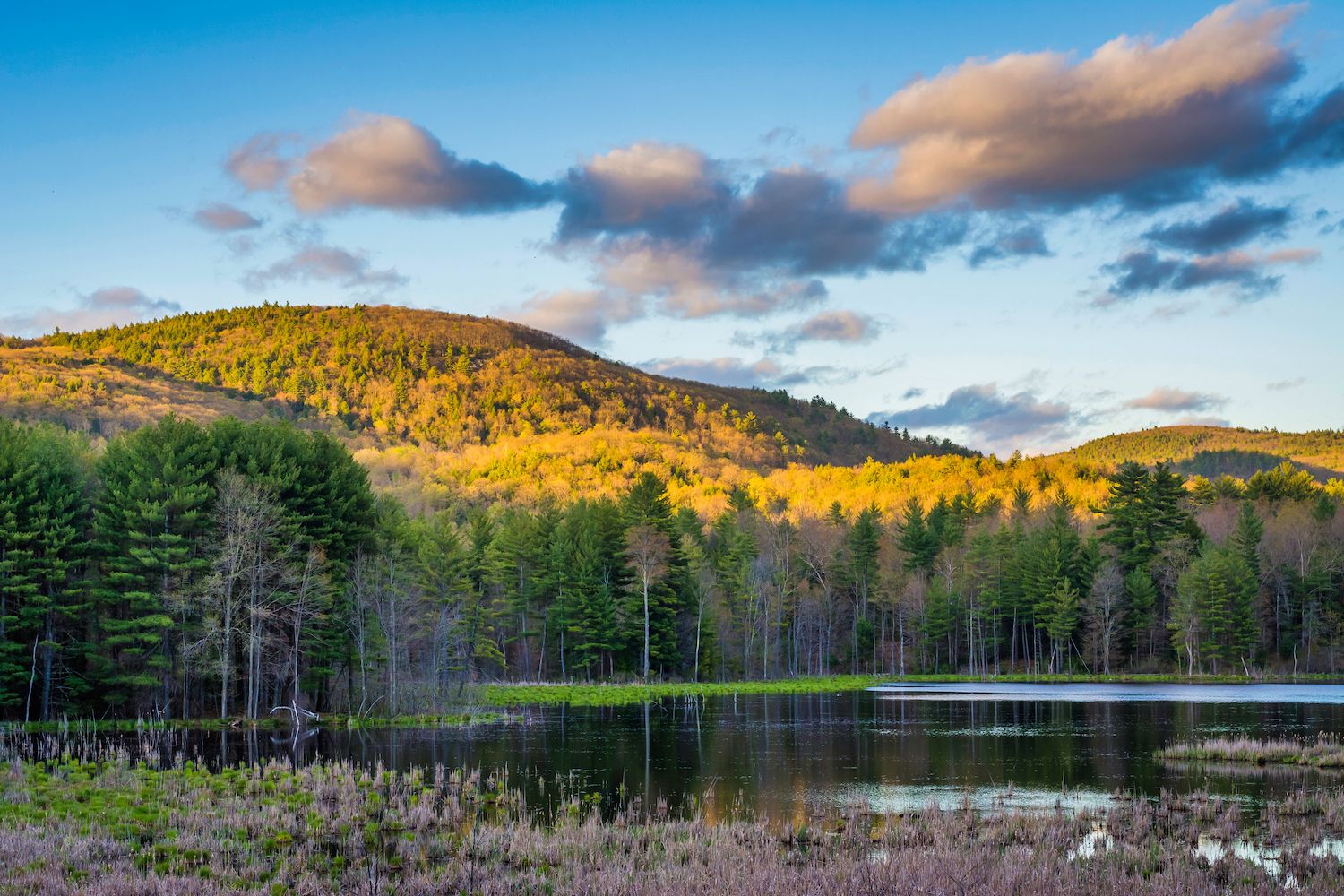 Brattleboro in Vermont