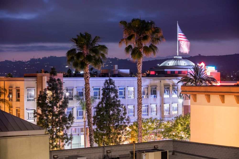 Tall trees at Brea Downtown