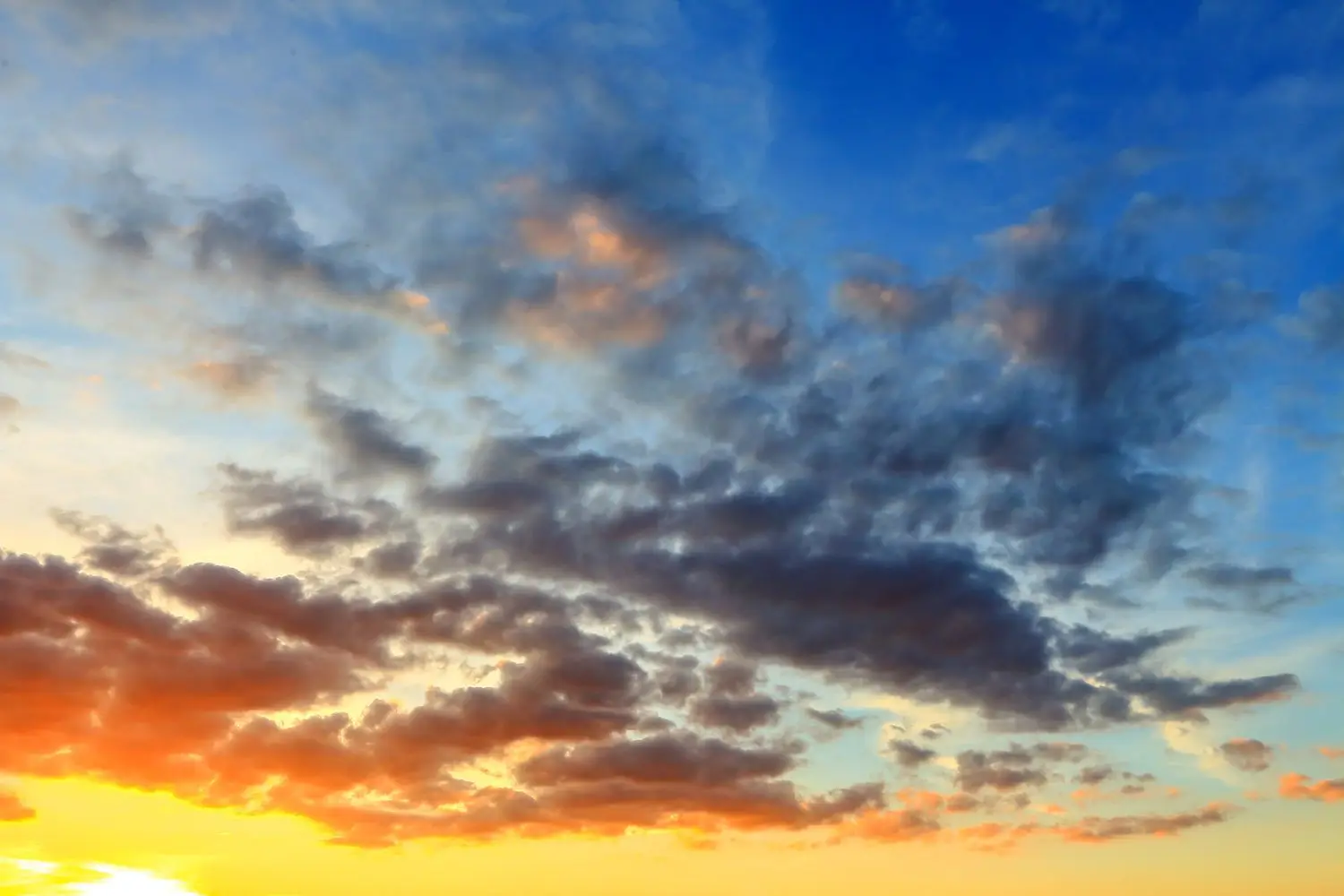 15 Best Things to Do in Brentwood, NY