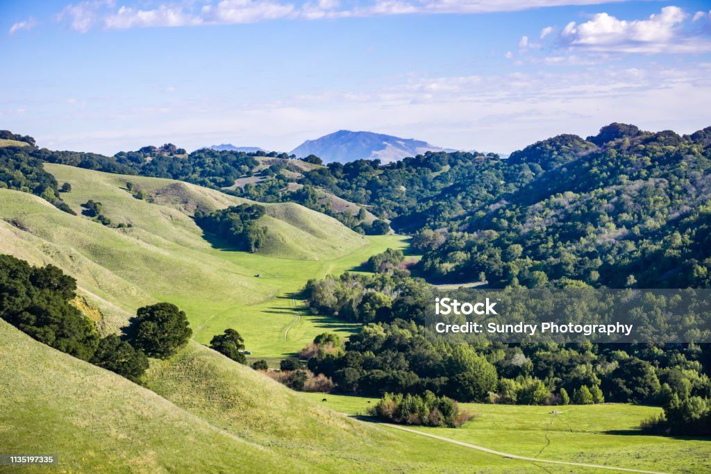 Stunning view of the Briones Regional Park