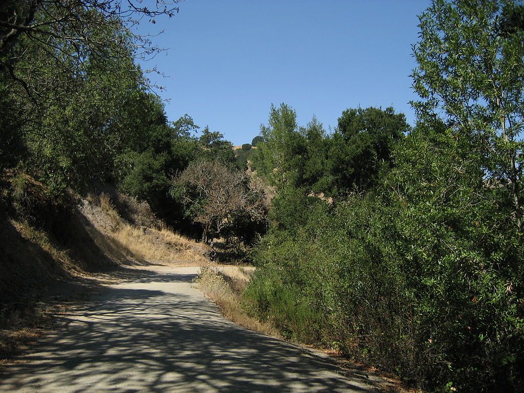 Hiking trail at the Briones Regional Park