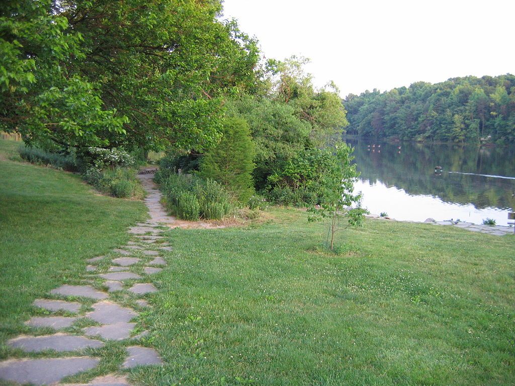 Trail along the Buddy Attick Lake Park