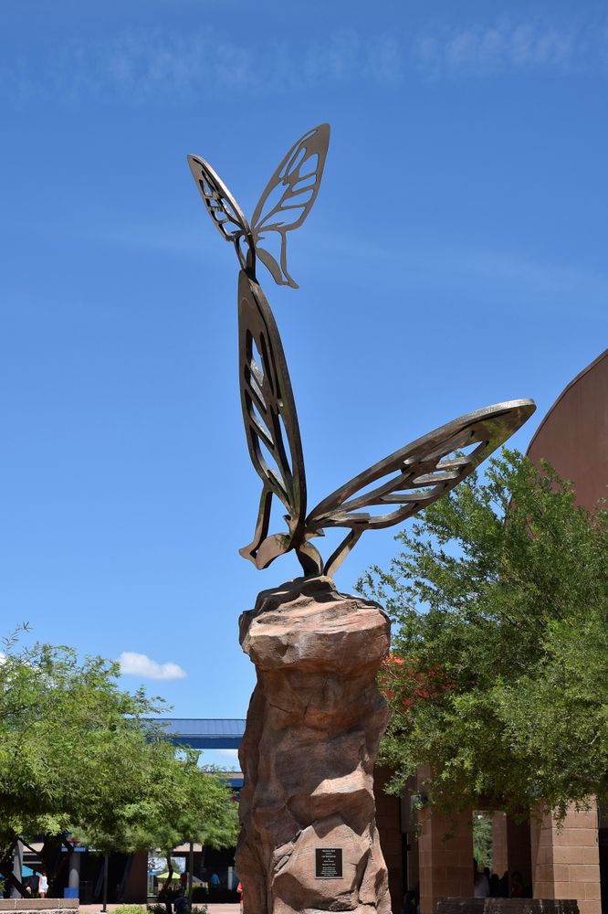 View of Butterfly Wonderland