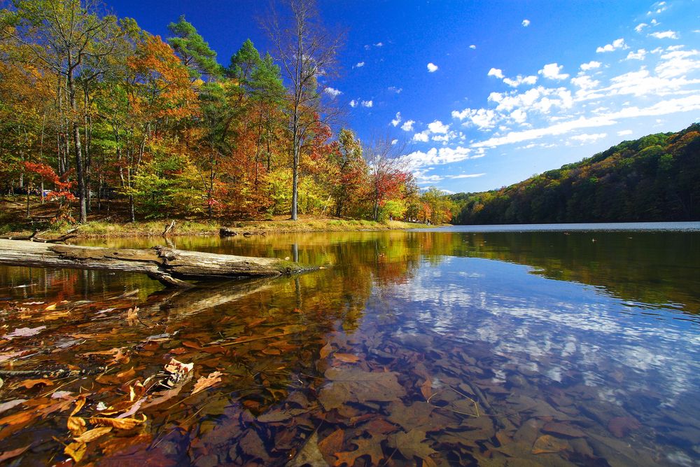 Fall foliage on Brown County State Park's waters