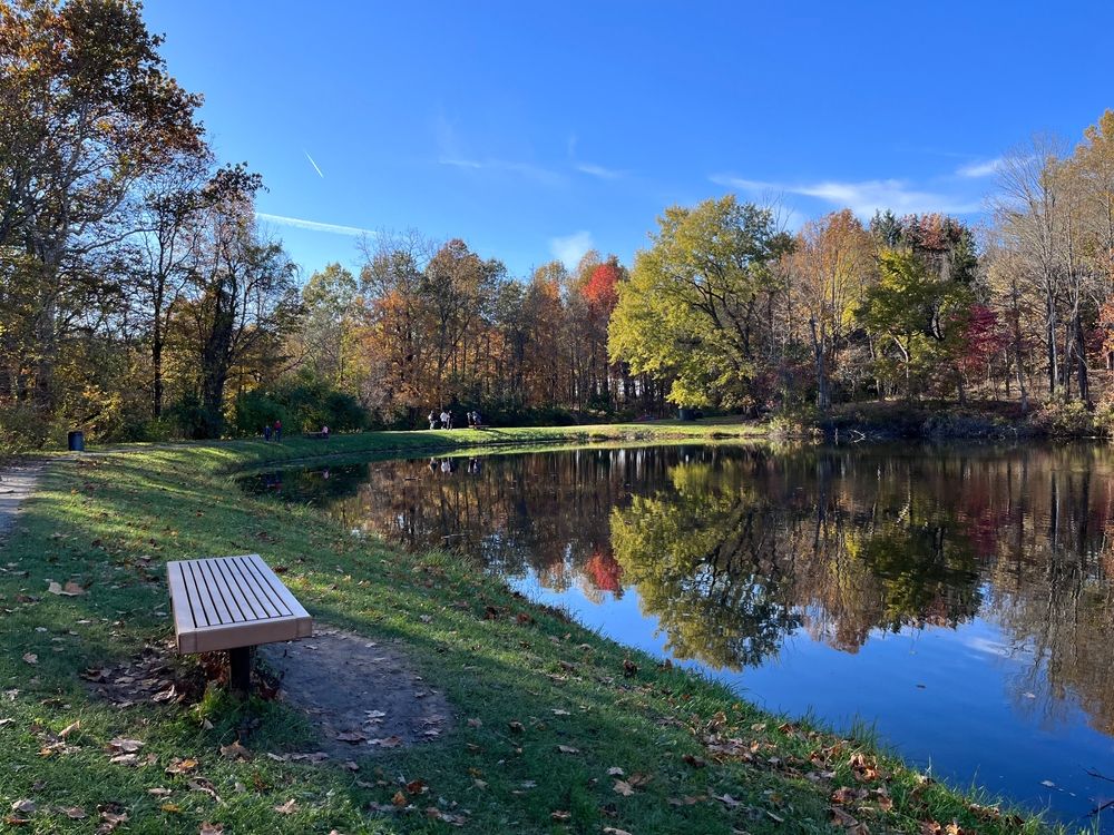 A wooden bench overlooking Eagle Creek Park's lake