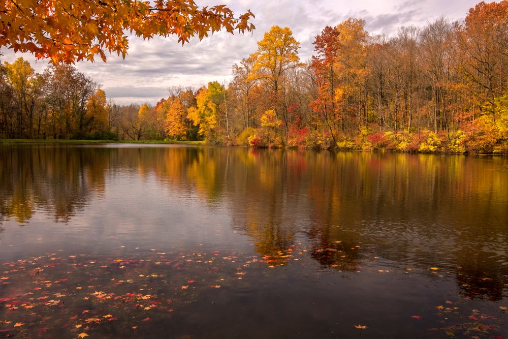Fall foliage on Eagle Creek Park's waters