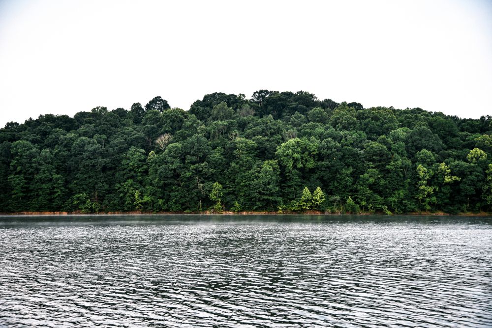 Petoka lake surrounded by Hoosier National Forest trees
