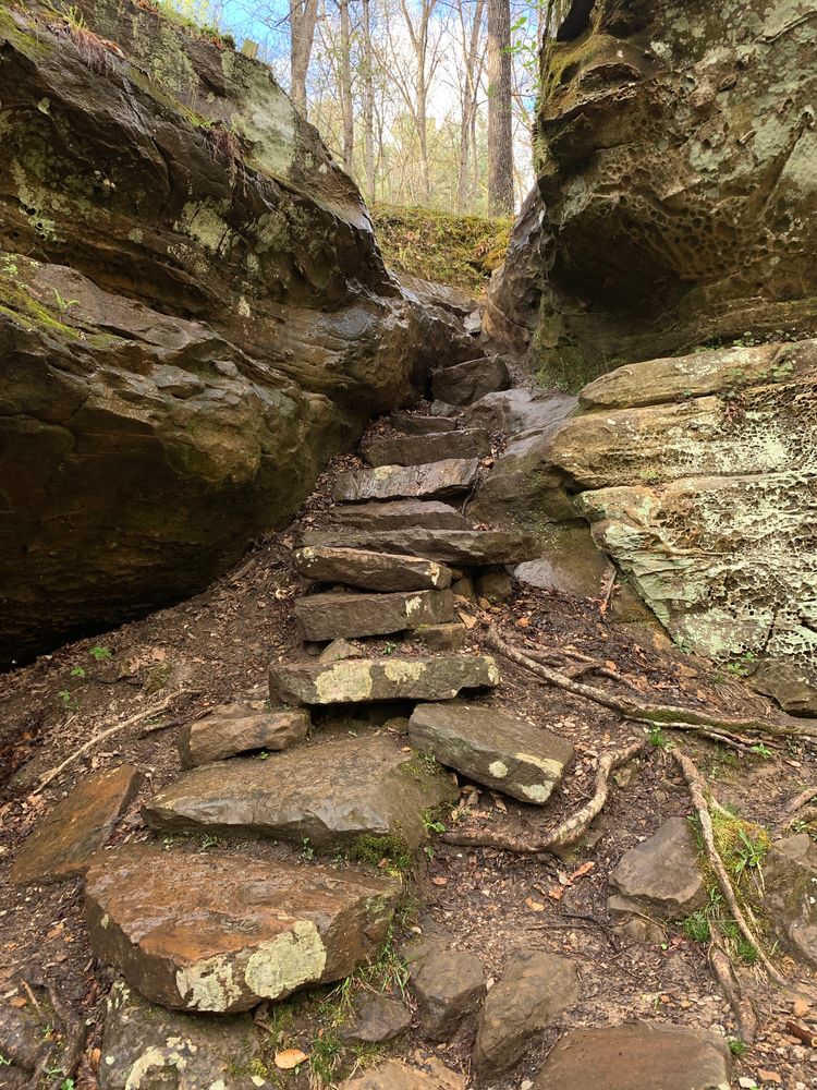Rocky trail at Hoosier National Forest