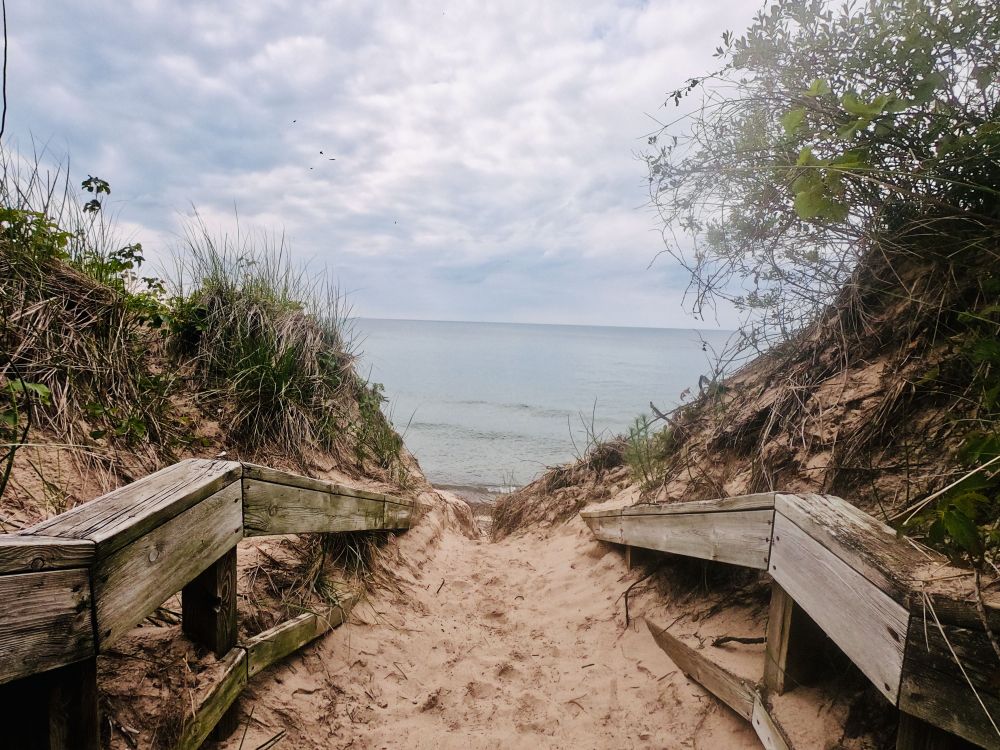 Pathway leading to Indiana Dunes State Park's beach