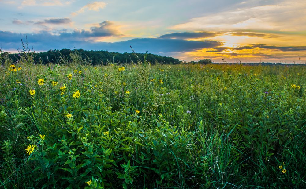Scenic sunset at Prophetstown State Park Nature Trail