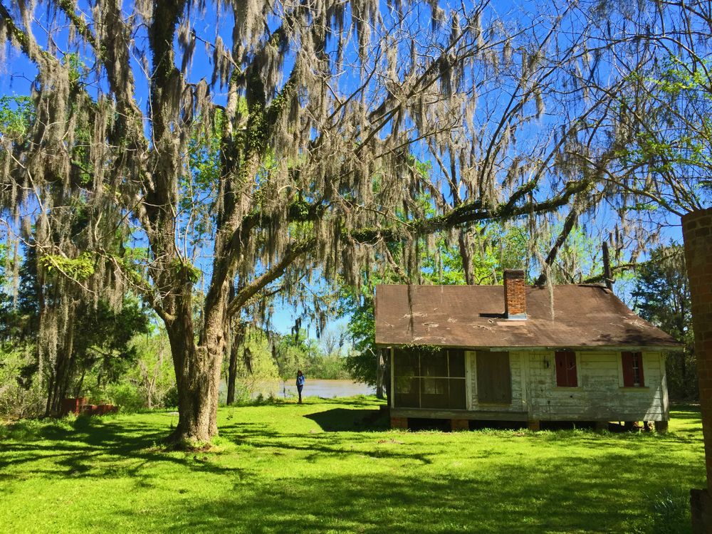 An old house at Cahawba, Alabama