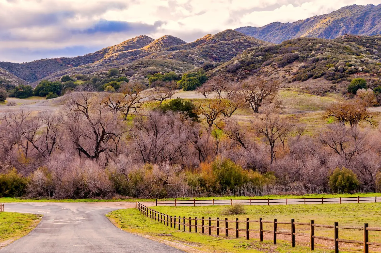 15 Best Things to Do in Calabasas, CA