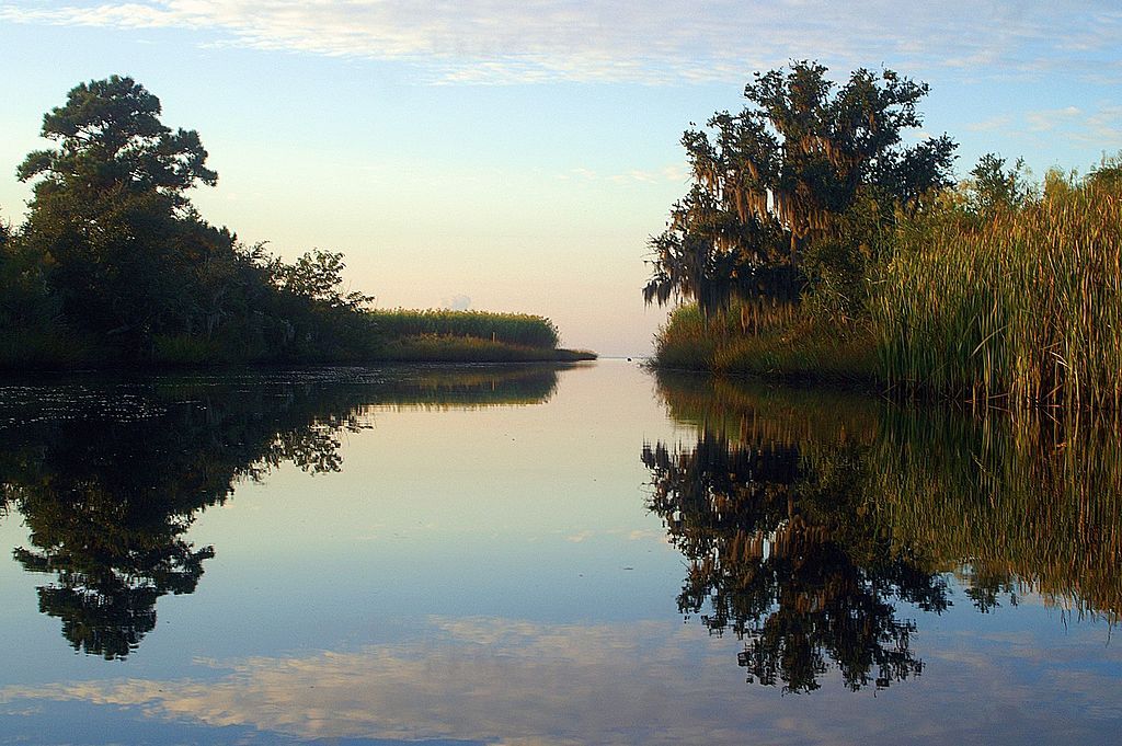 Cane Bayou in Covington, LA