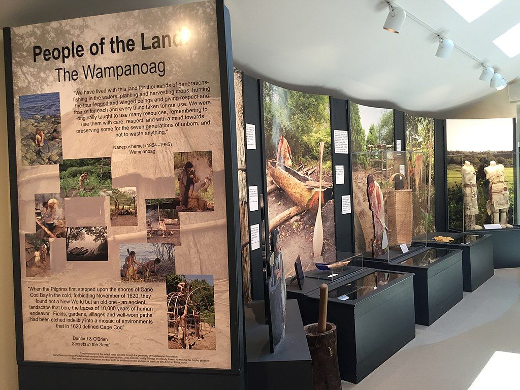 Display at Cape Cod Museum of Natural History
