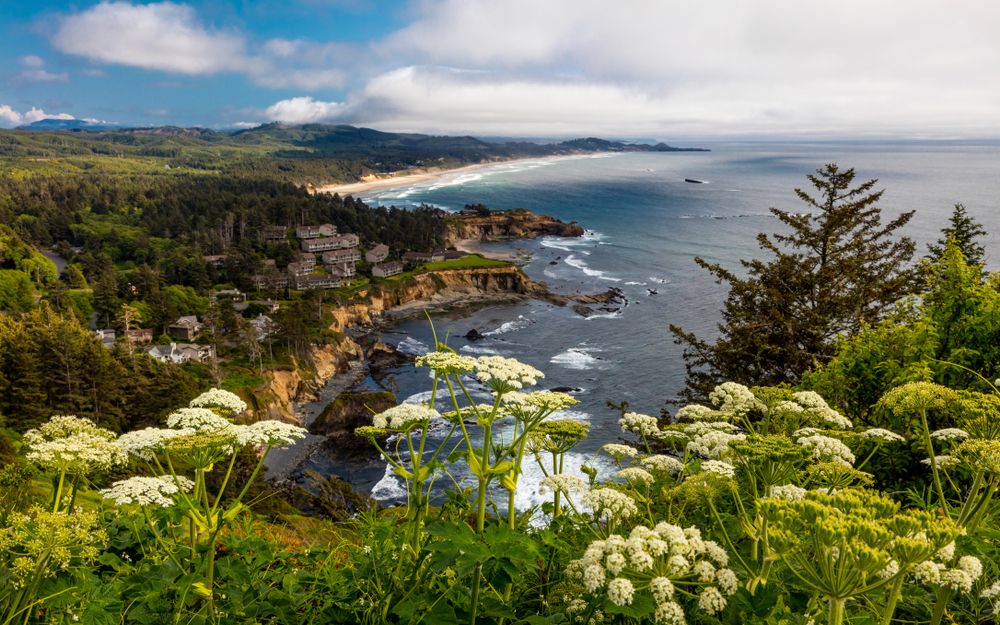 Scenic view of Cape Foulweather