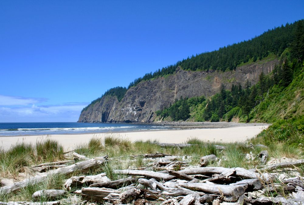 Scenic view of Cape Lookout State Park
