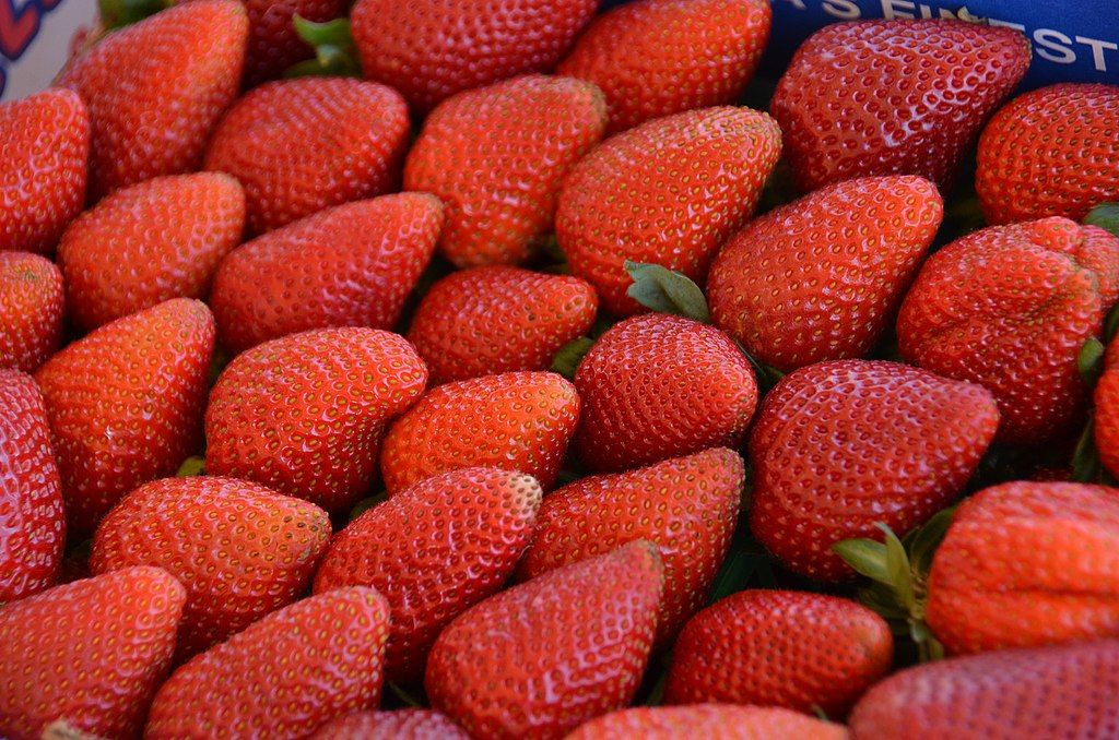 Freshly collected strawberries at Carlsbad Strawberry Company