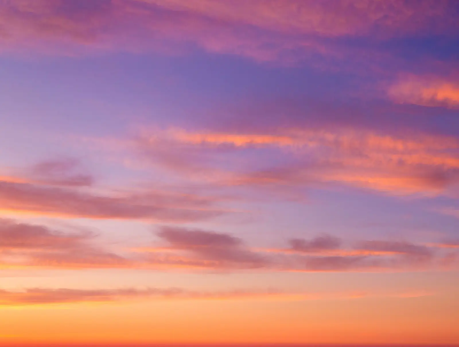 15 Best Things to Do in Carmichael, CA