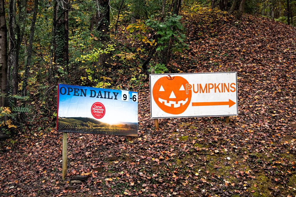 Sign boards at Carter Mountain Orchard