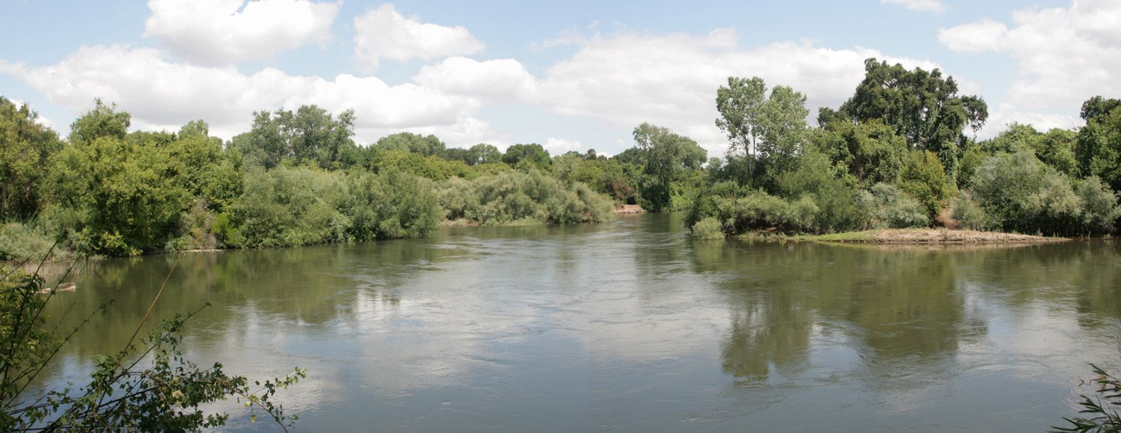 River flowing through the Caswell Memorial State Park