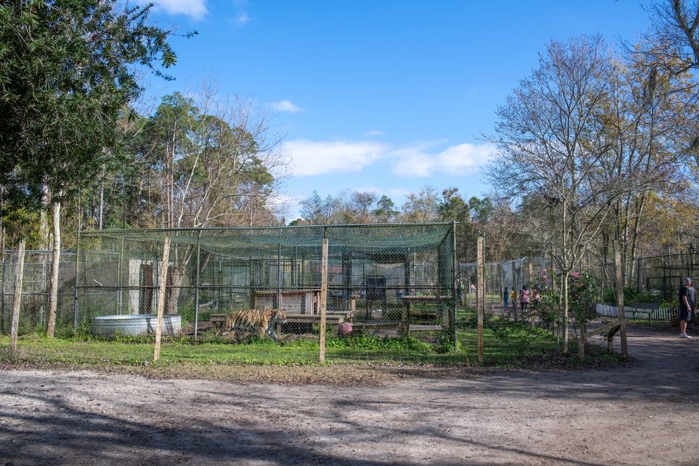View of Catty Shack Ranch Sanctuary