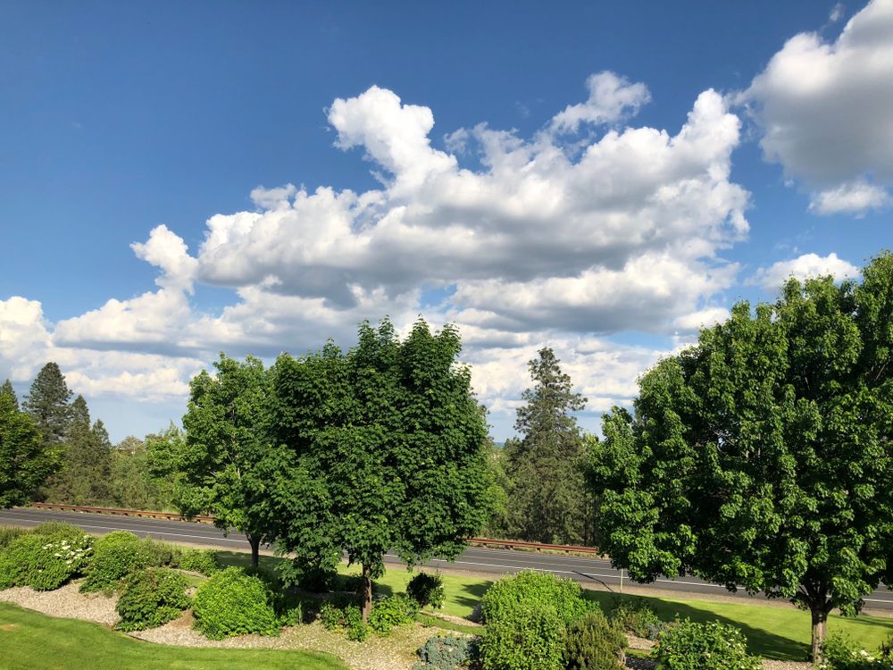 View of Centennial Trail