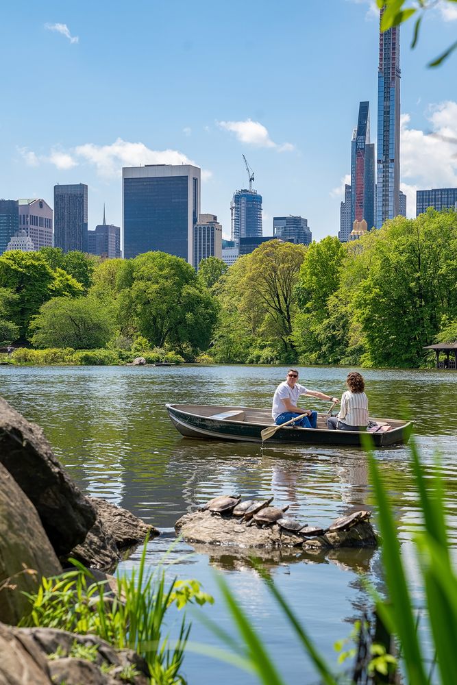 A couple enjoying boating at Central Park