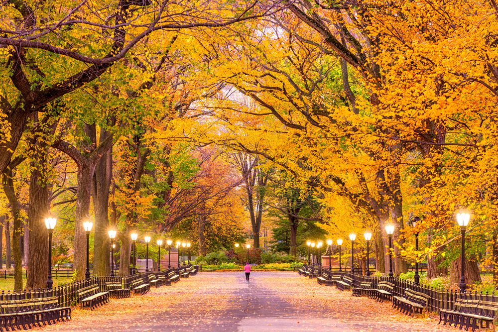 Central Park in New York City, New York