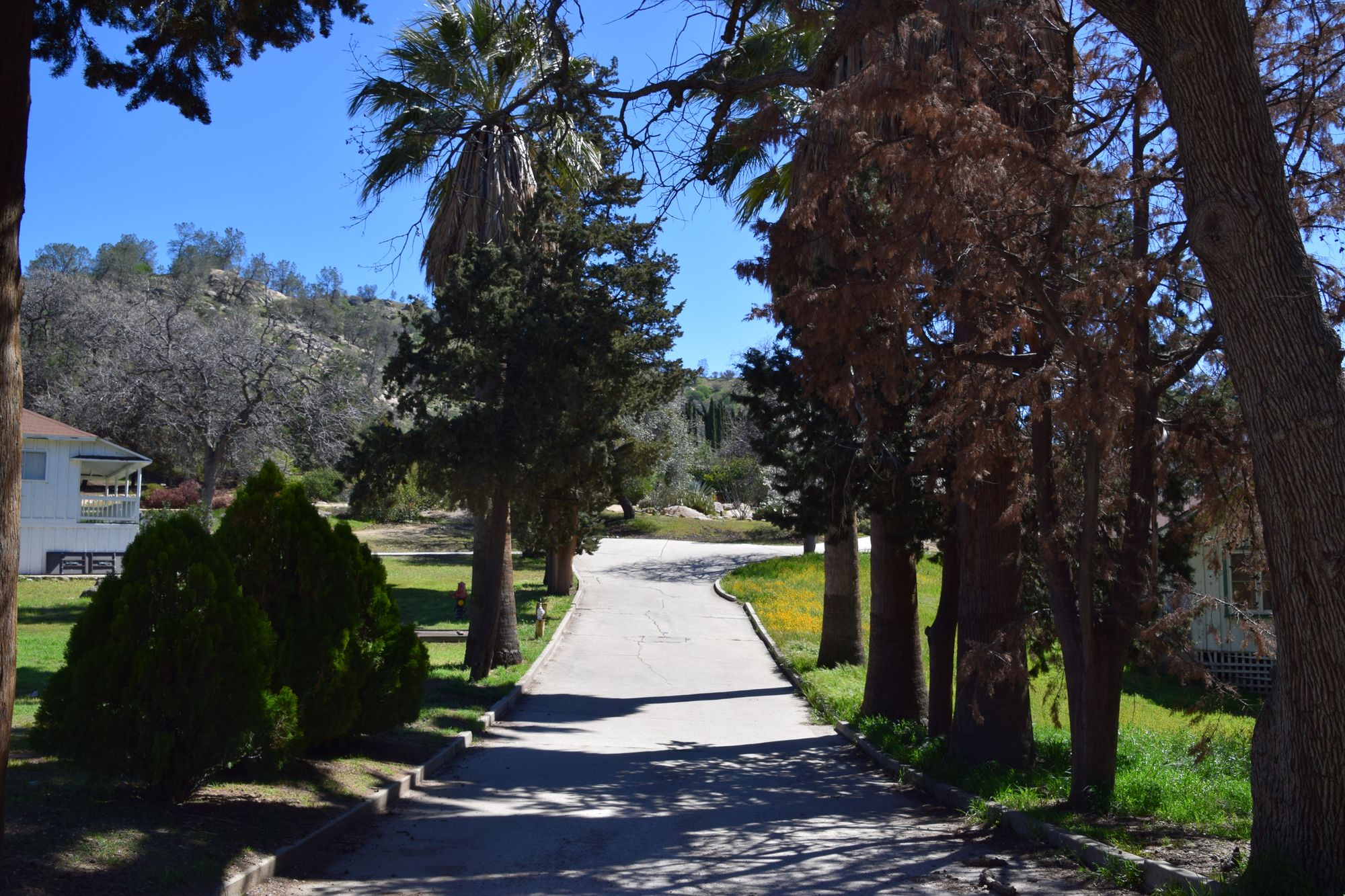 Paved pathway at the Cesar Chavez Park