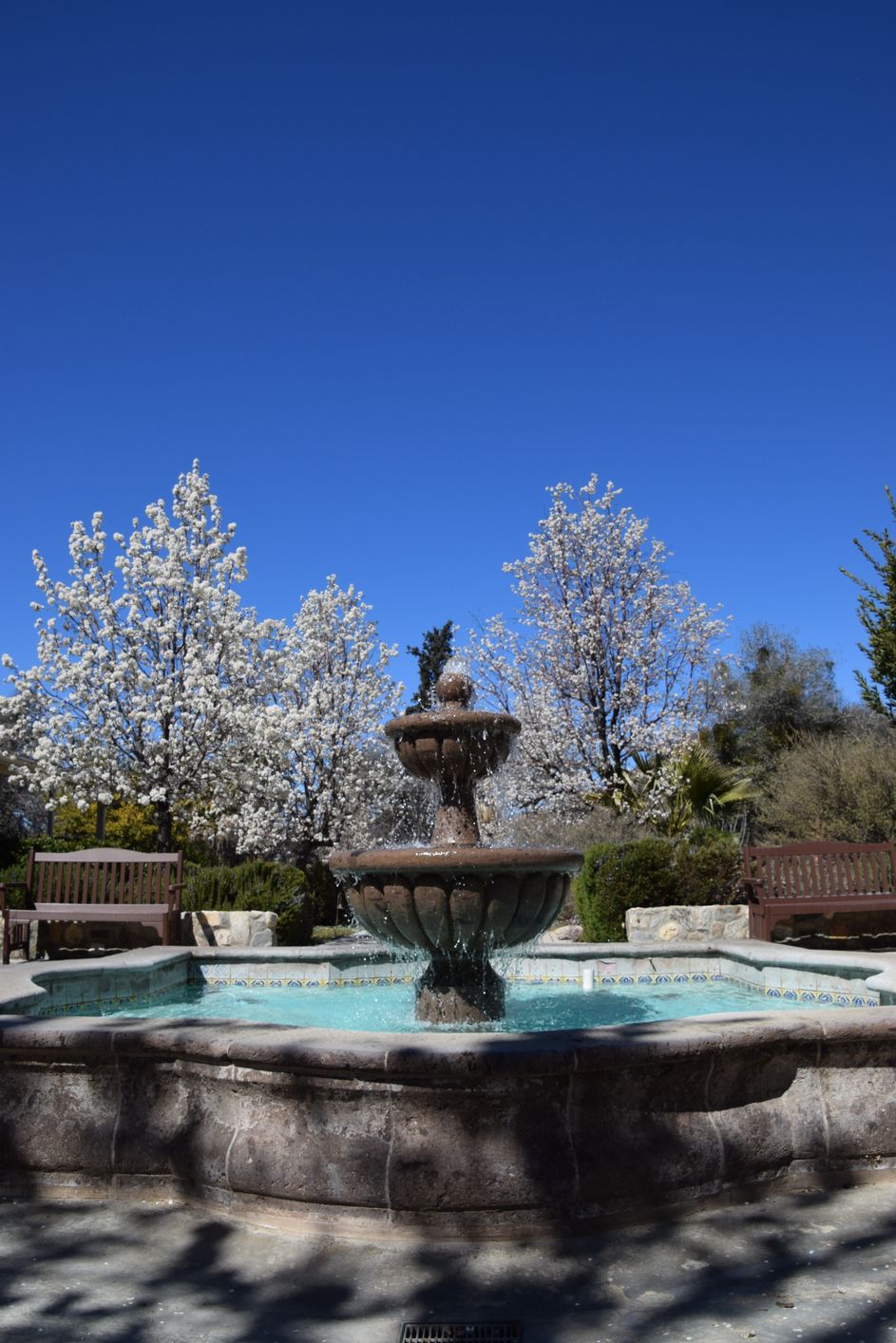 Fountain at the Cesar Chavez Park
