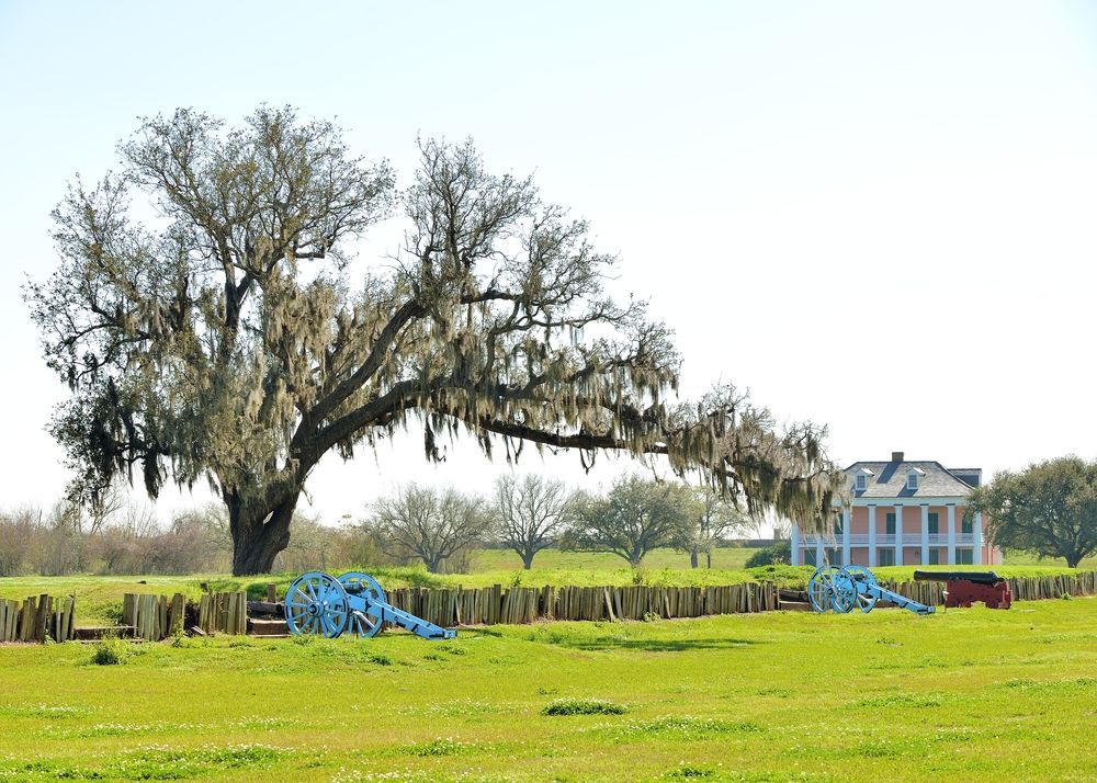 View of the Chalmette Battlefield