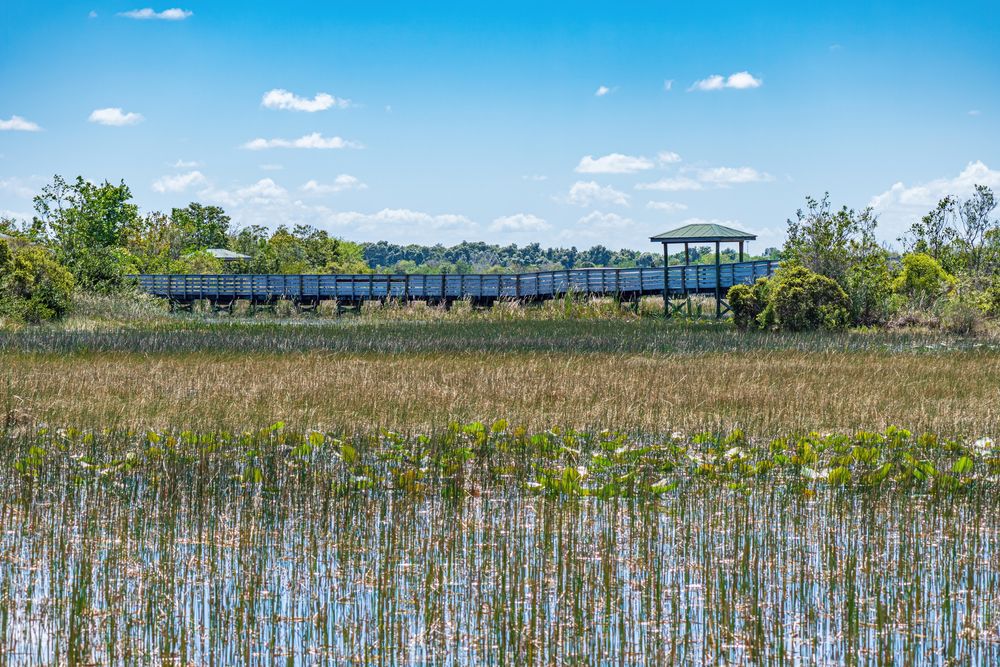 Landscape of Chapel Trail Park Nature Preserve